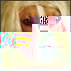 Аватара для Dress
